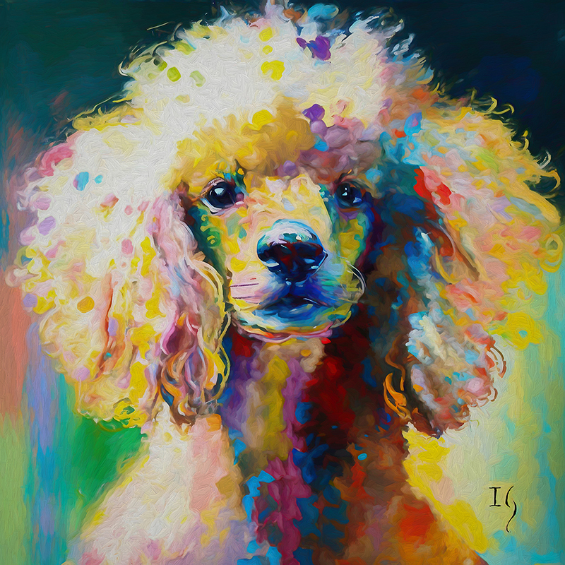 Portrait of colored French Poodle - Fine Art Dogs Prints